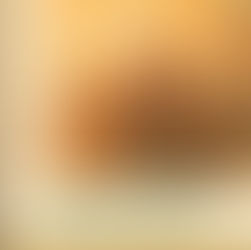 Mikalojus Konstantinas Čiurlionis: mokslinių straipsnių rinkinys