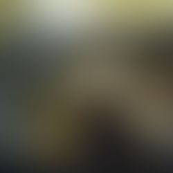 Tautosakinių ir instrumentologinių ekspedicijų keliais