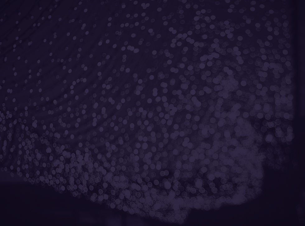 Sparkling Lights_edited_edited_edited_edited_edited.jpg