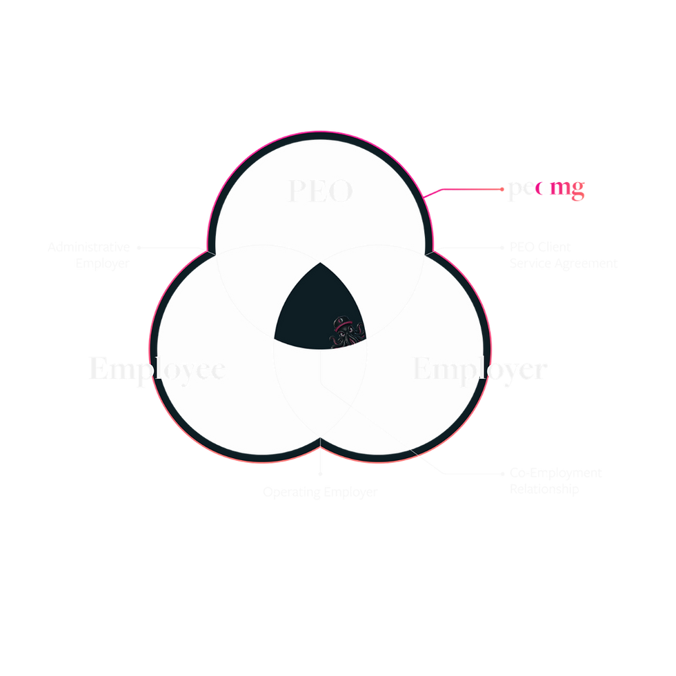 Co-Employment (1).png