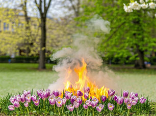 The Quiet Burnout of Spring