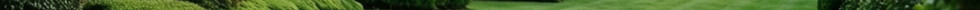 Well-maintained commercial property lawn and hedges.