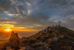 rodrigo-viana-3.jpg