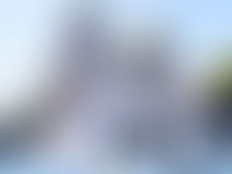 Participa en els plens municipals de Pallejà!