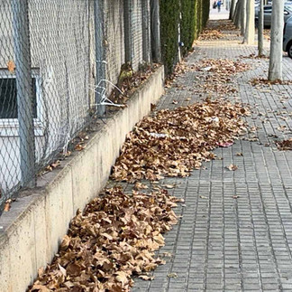 Pallejà falta de limpieza