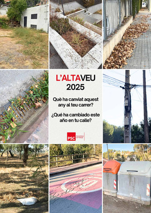 Altaveu 2025 un any de reflexió