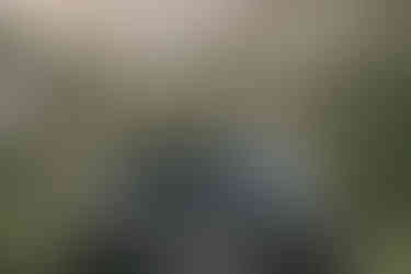 Frontansicht des Toyota Land Cruiser 250 mit markantem Grill und LED-Scheinwerfern – robustes Design des Geländewagens für Offroad-Einsätze