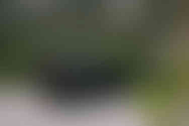 Rückansicht des Toyota Land Cruiser 250 mit LED-Rückleuchten – der legendäre Geländewagen in seiner neuesten Generation