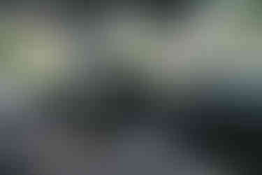 Cockpit des Toyota Land Cruiser 250 mit großem Infotainment-Display – modernes Interieur mit Offroad-Schaltern und hochwertigen Materialien