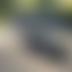 Gnackwatschn mit Samthandschuh: Porsche 911 Turbo S im Test