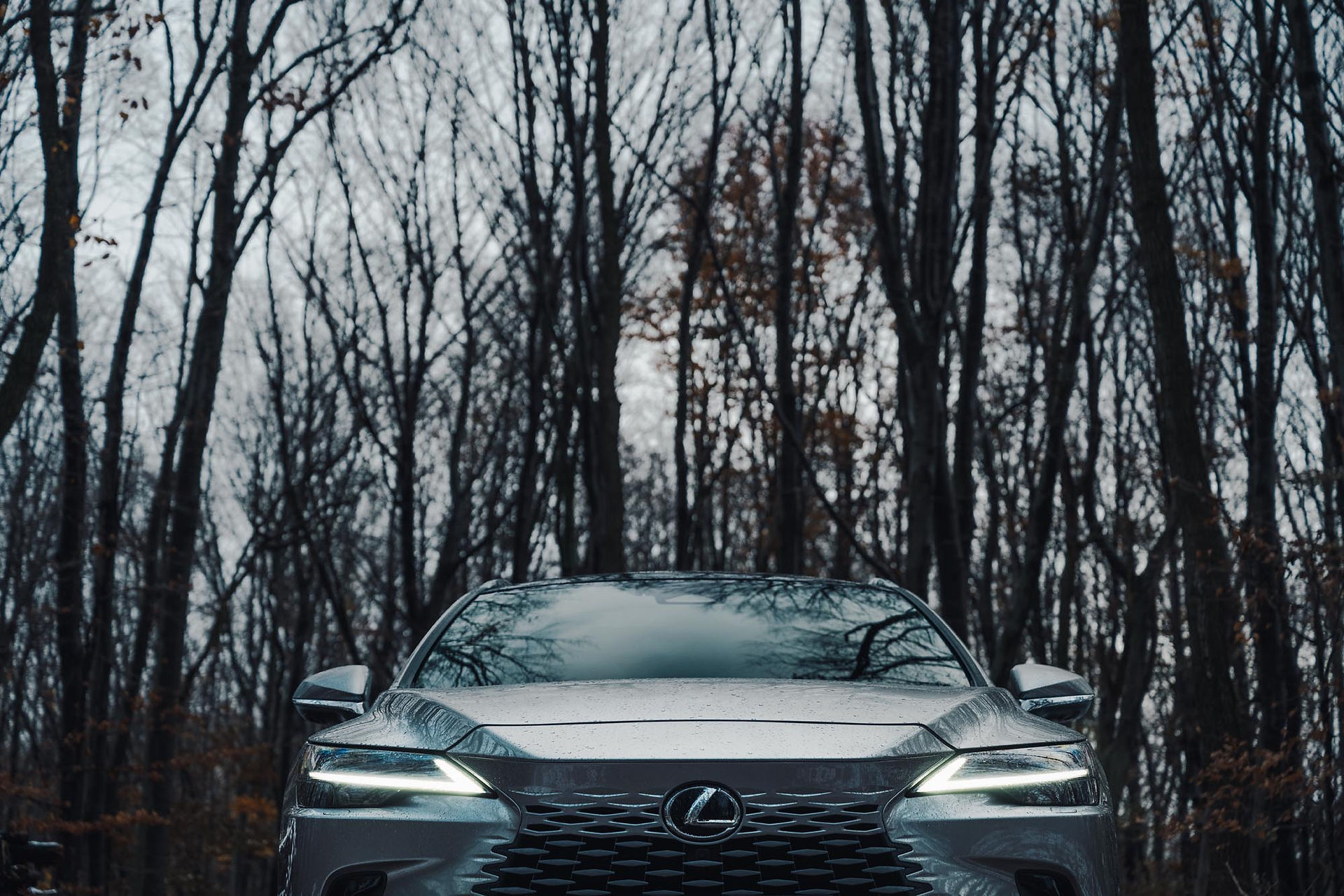 Lexus RX 450h+ Executive Line 2024 Frontansicht in einem Wald