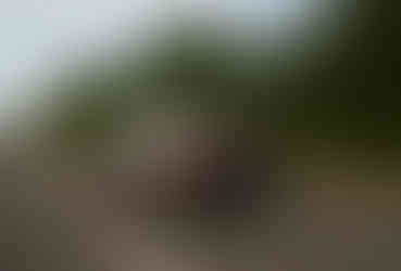 Neuer Mazda 6e Elektro Limousine 2026 in der Ausstattung Takumi in Fahrt - Heckansicht