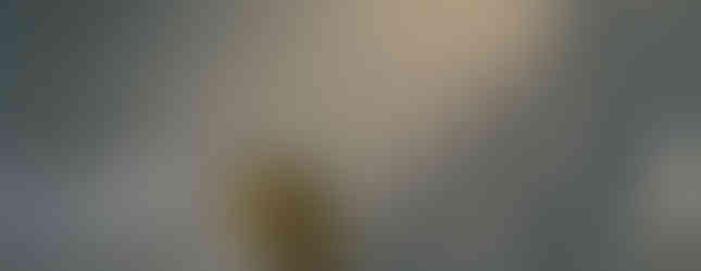 Porsche Taycan Cross Turismo Turbo S 2023 Porsche Logo