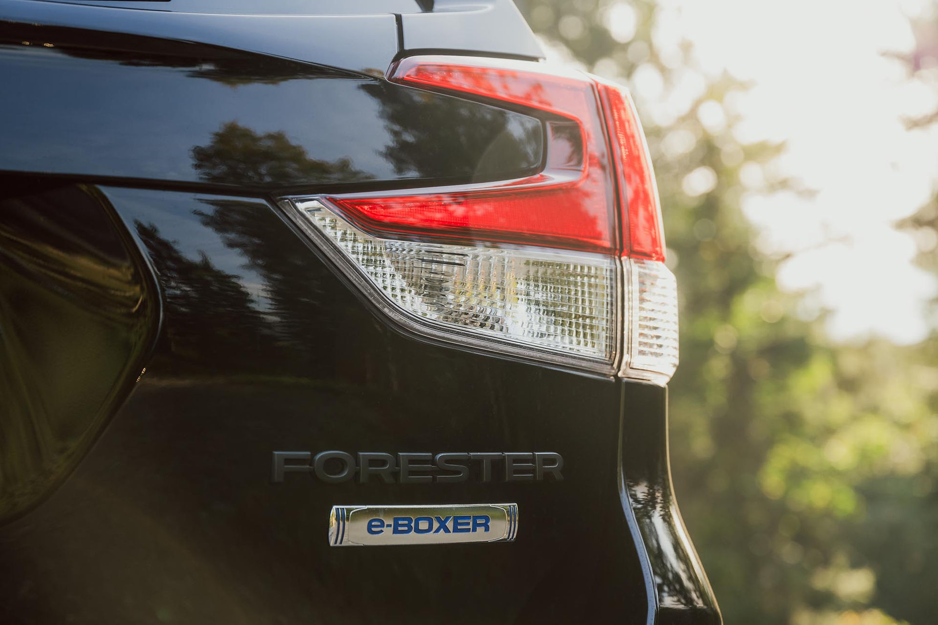 Subaru Forester Black Edition 2024 Heckleuchte