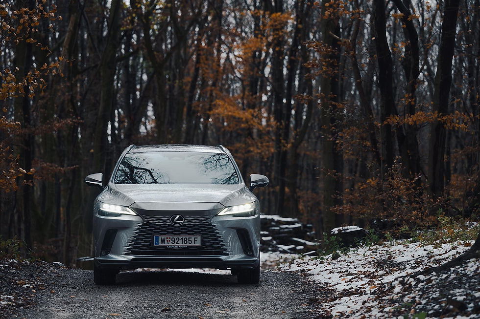 Lexus RX 450h Executive Line 2024 Test: Geschmack, Begonien, Premium-SUV