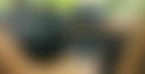 Nissan X-Trail e-Power e-4ORCE Hybrid 2023