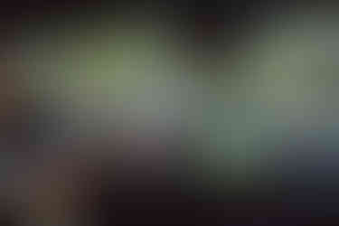 Neuer Dacia Duster 2024 4x4 bei Offroad-Fahrten