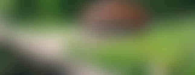 Suzuki S-Cross Allgrip Strong Hybrid 2023