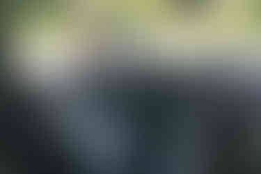 Ford Nugget Titanum 2.0 Ecoblue Diesel Wohnmobil Innenraum Armaturenbrett