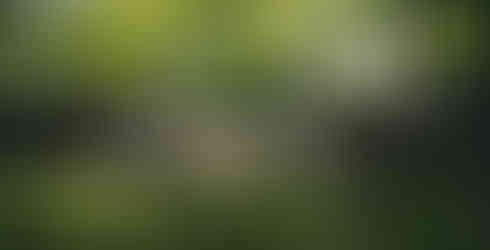 Nissan X-Trail e-Power e-4ORCE Hybrid 2023