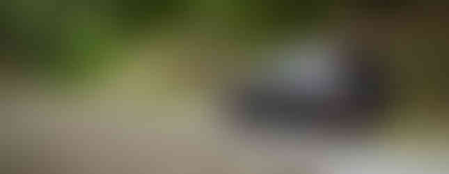 Subaru Outback Adventure 2.5i 2024 Heckansicht auf einer Straße