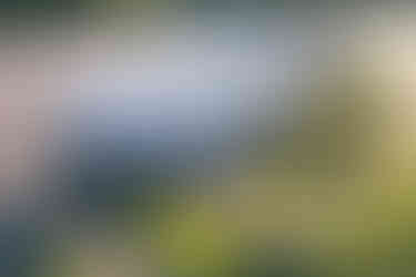 Mazda MX-5 Roadster Kazari 2024 Front Ansicht