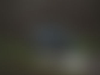 Hyundai Ioniq 9 Calligraphy 2026 im Fahrtest – dynamisches Elektro-SUV mit markantem Pixel-LED-Design