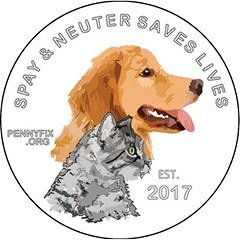 HSEC Awarded PennyFix Grant