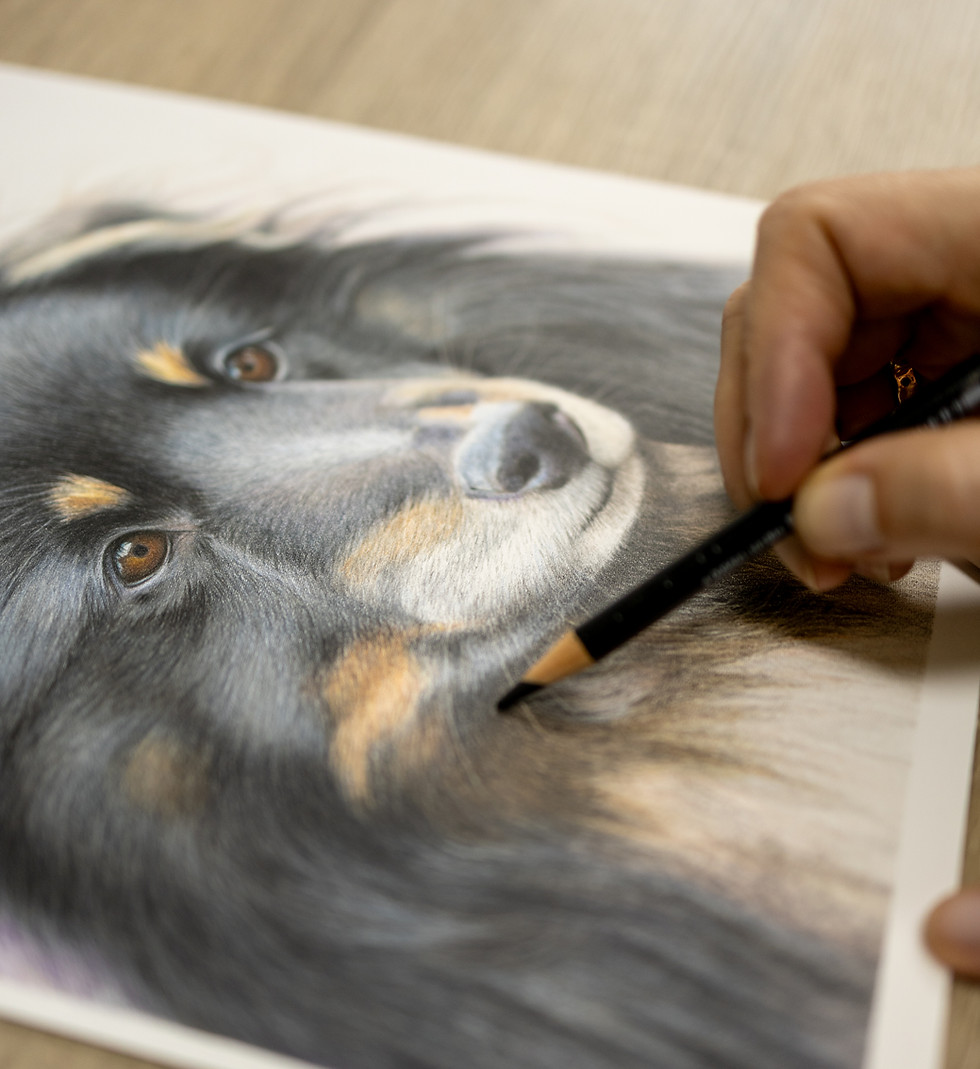 Tekening in opdracht