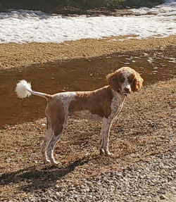 Screenshot_20240225_164836_Messages