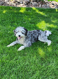 20250724_110343 (1).jpg