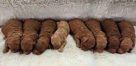 20251221_145103 (1).jpg