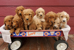 Resized_20200909_175241