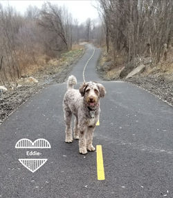 Resized_20171210_201511_5310