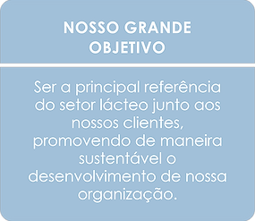 nosso grande objetivo.png