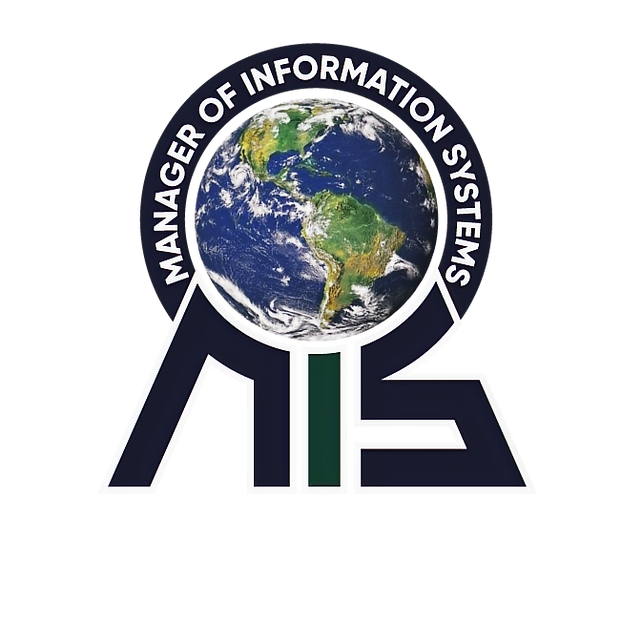 logo MIS