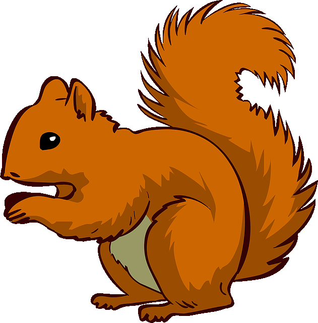 squirrel.gif