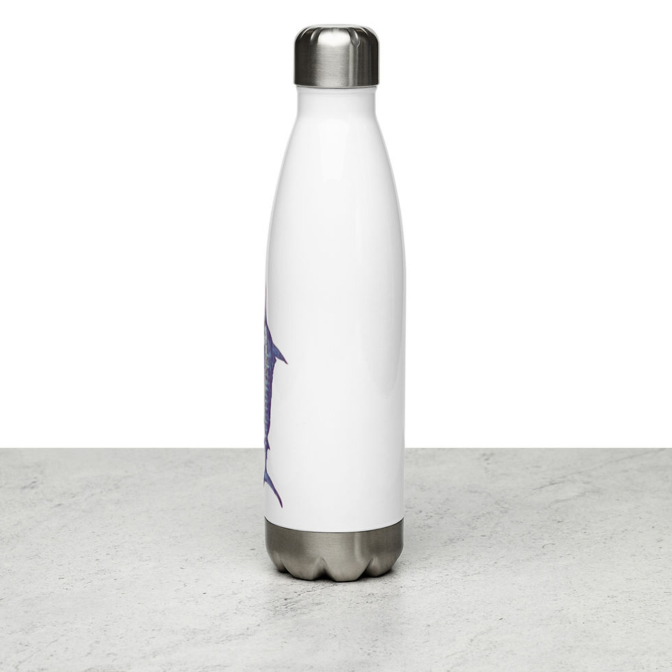 Thumbnail: Stainless Steel Water Bottle