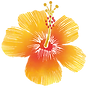 花のイラスト