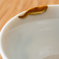 yanagian (231).jpg