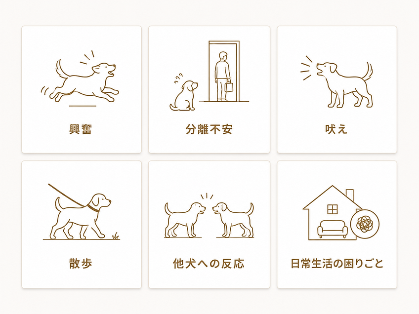 トレーニング