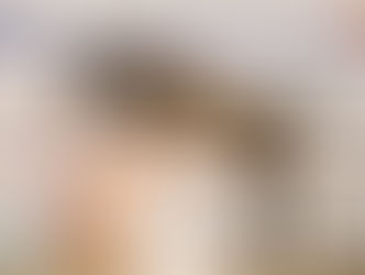 Eerste bezichtiging KWPN hengstenkeuring Ermelo