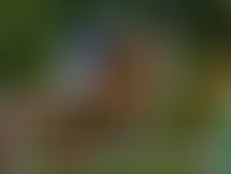 CSI Peelbergen, 7-9 september