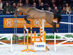 KWPN hengstenkeuring 2026