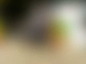 23 oktober - Oud Gastel