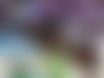 Jumping Amsterdam 2026