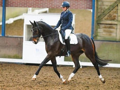 Totti is verkocht, februari 2020