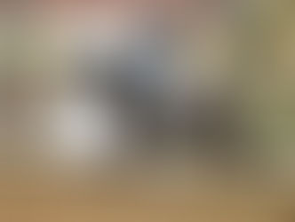 Totti is verkocht, februari 2020