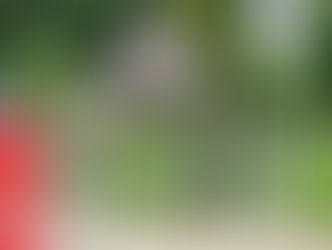 CSI Peelbergen, 19-23 mei