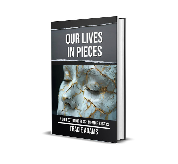 BOOK FRONT IMAGE.jpg